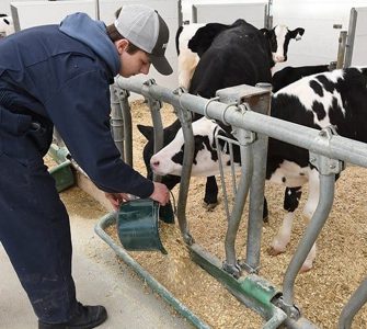 L'Institut de technologie agroalimentaire du Québec (ITAQ) annonce une révision à son programme de Gestion et technologies d'entreprise agricole (GTEA) du campus de Saint-Hyacinthe.