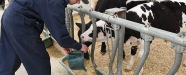 L'Institut de technologie agroalimentaire du Québec (ITAQ) annonce une révision à son programme de Gestion et technologies d'entreprise agricole (GTEA) du campus de Saint-Hyacinthe.