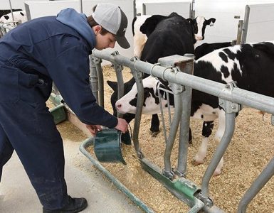 L'Institut de technologie agroalimentaire du Québec (ITAQ) annonce une révision à son programme de Gestion et technologies d'entreprise agricole (GTEA) du campus de Saint-Hyacinthe.